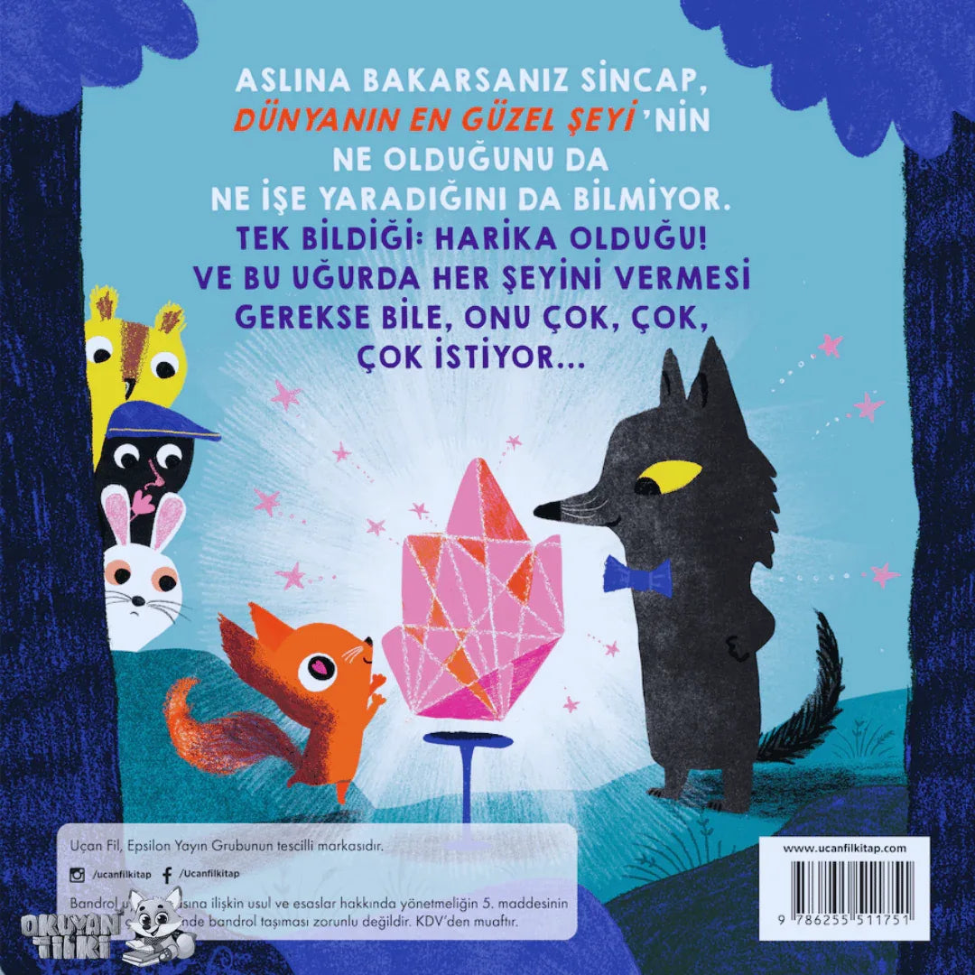 Dünyanın En Güzel Şeyi (3+ Yaş) - Okuyan Tilki