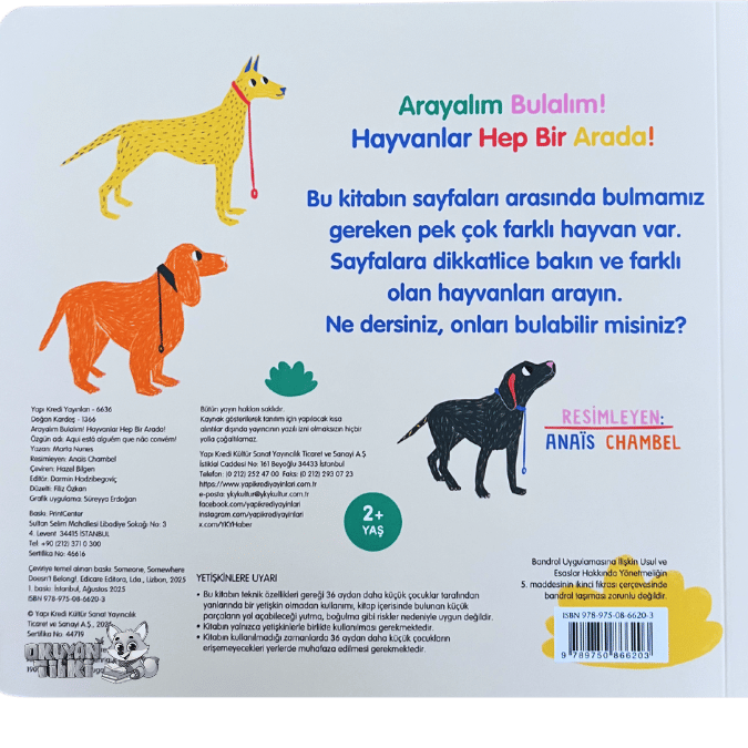 Arayalım Bulalım! Hayvanlar Hep Bir Arada! (3+ Yaş)