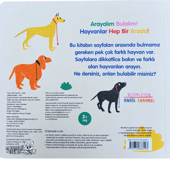 Arayalım Bulalım! Hayvanlar Hep Bir Arada! (3+ Yaş) - Okuyan Tilki