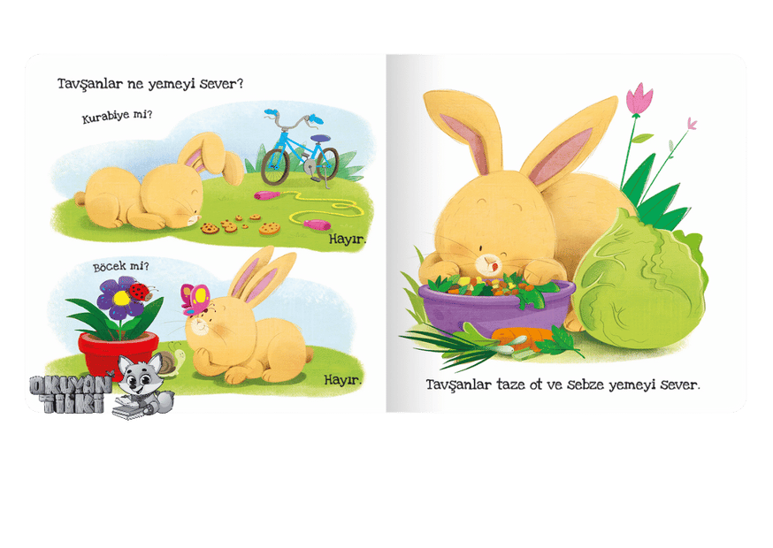 Tavşanlar Ne Sever? - Dokun Hisset Kitaplar (Fühlbuch, 2+ Yaş)