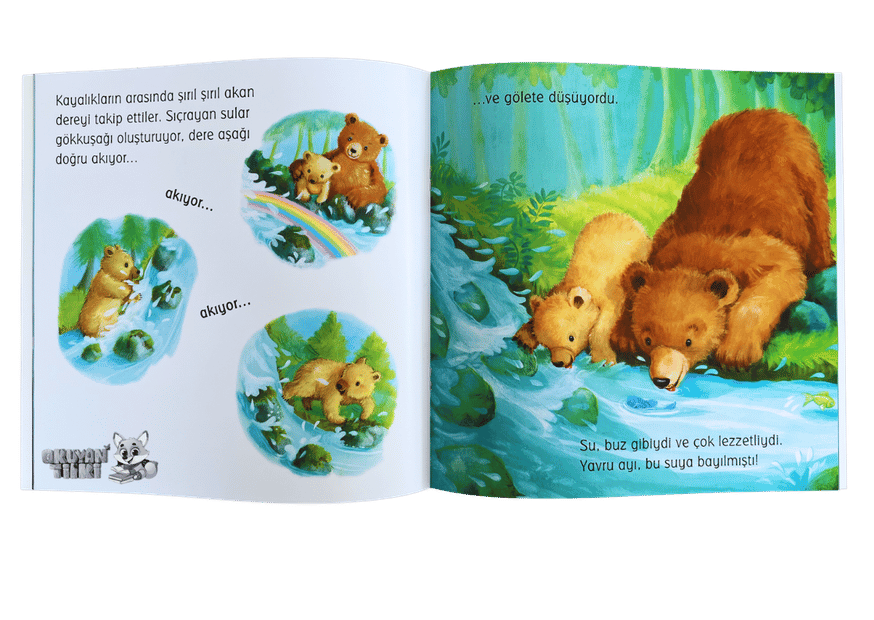 Küçük Ayının Büyük Macerası (3+ Yaş)