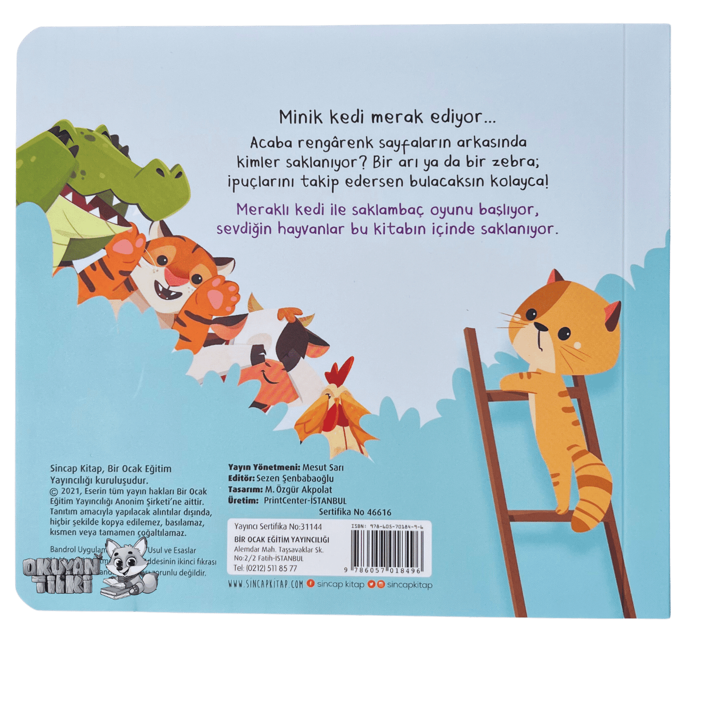 Bak-Bul Sobe Meraklı Kedi (1+ Yaş) - Okuyan Tilki