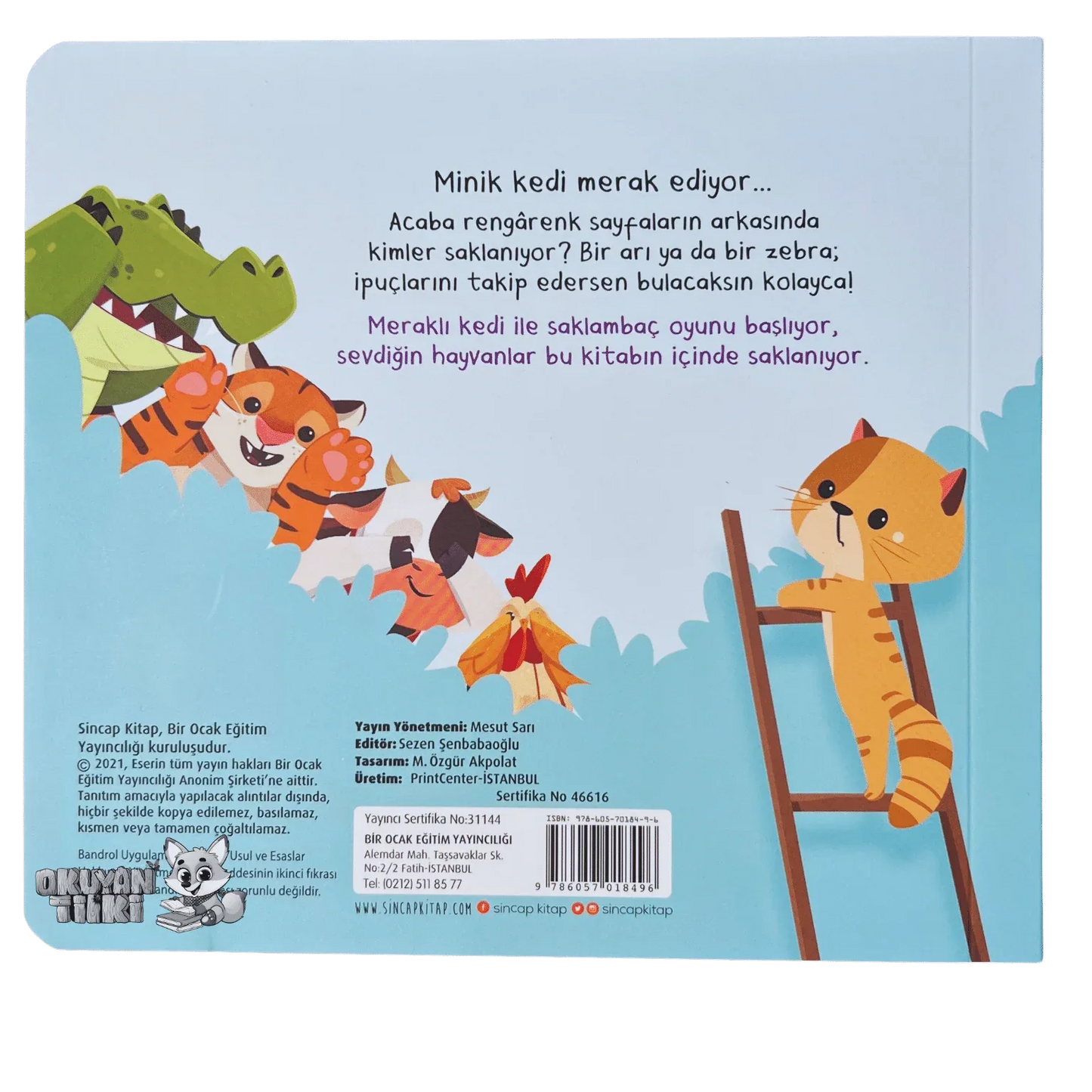 Bak-Bul Sobe Meraklı Kedi (1+ Yaş) - Okuyan Tilki