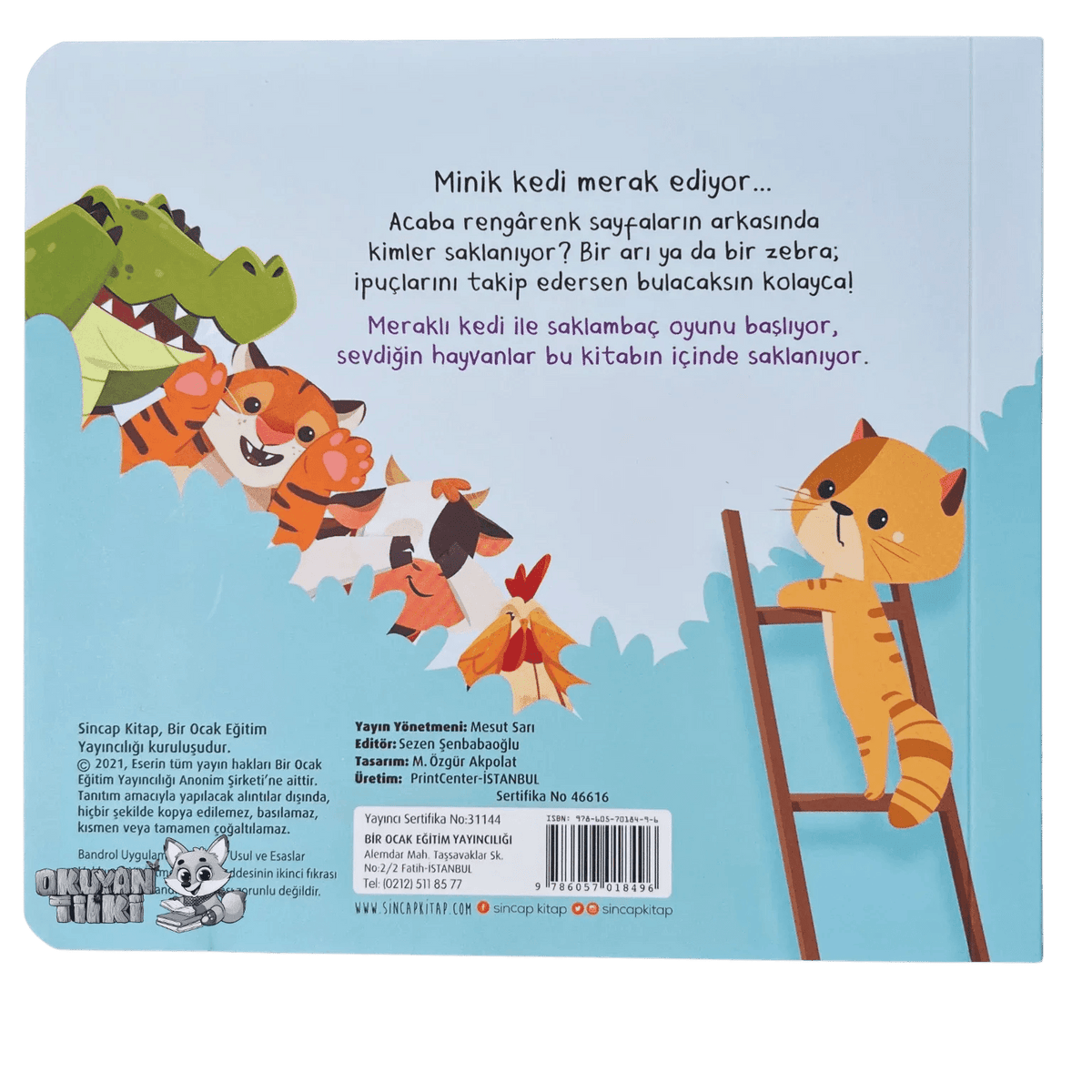 Bak-Bul Sobe Meraklı Kedi (1+ Yaş) - Okuyan Tilki