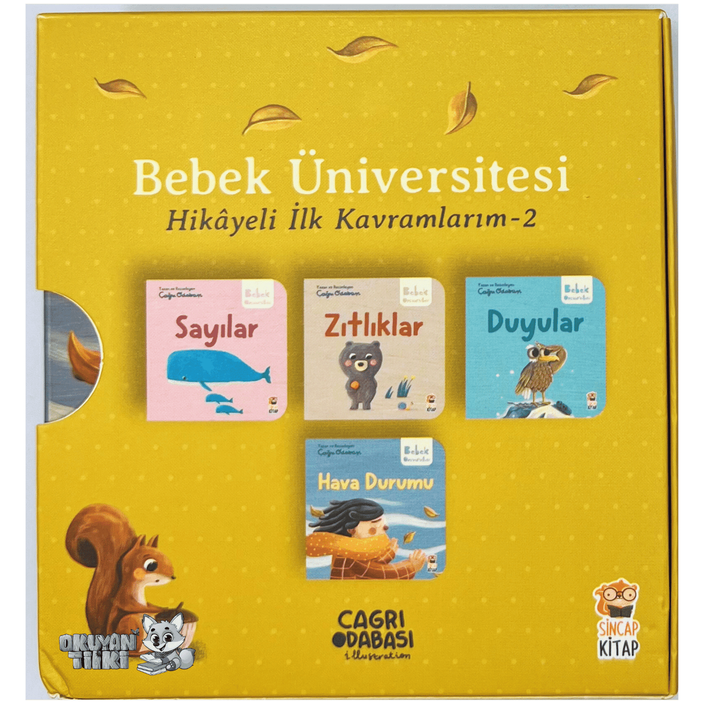 BEBEK ÜNİVERSİTESİ (2) - Hikayeli İlk Kavramlarım - Okuyan Tilki