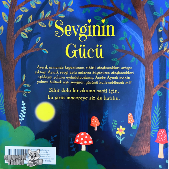 Sevginin Gücü (3+ Yaş)