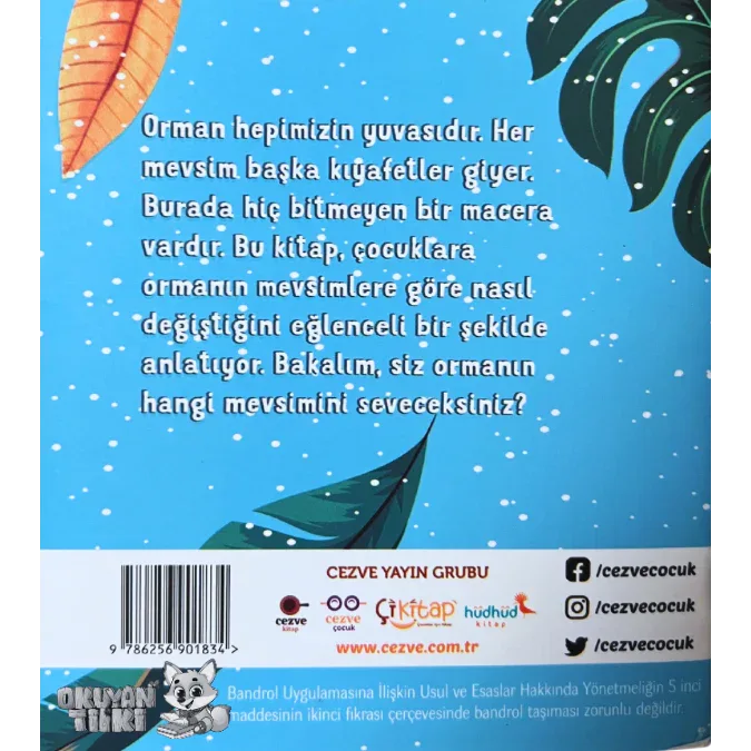 Ormanın Yaşam Döngüsü (3+ Yaş) - Okuyan Tilki