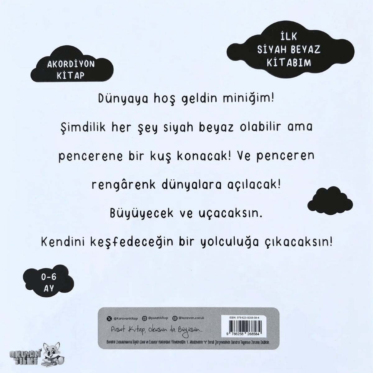 Pencereme Kuş Kondu (0+ Yaş) - Okuyan Tilki
