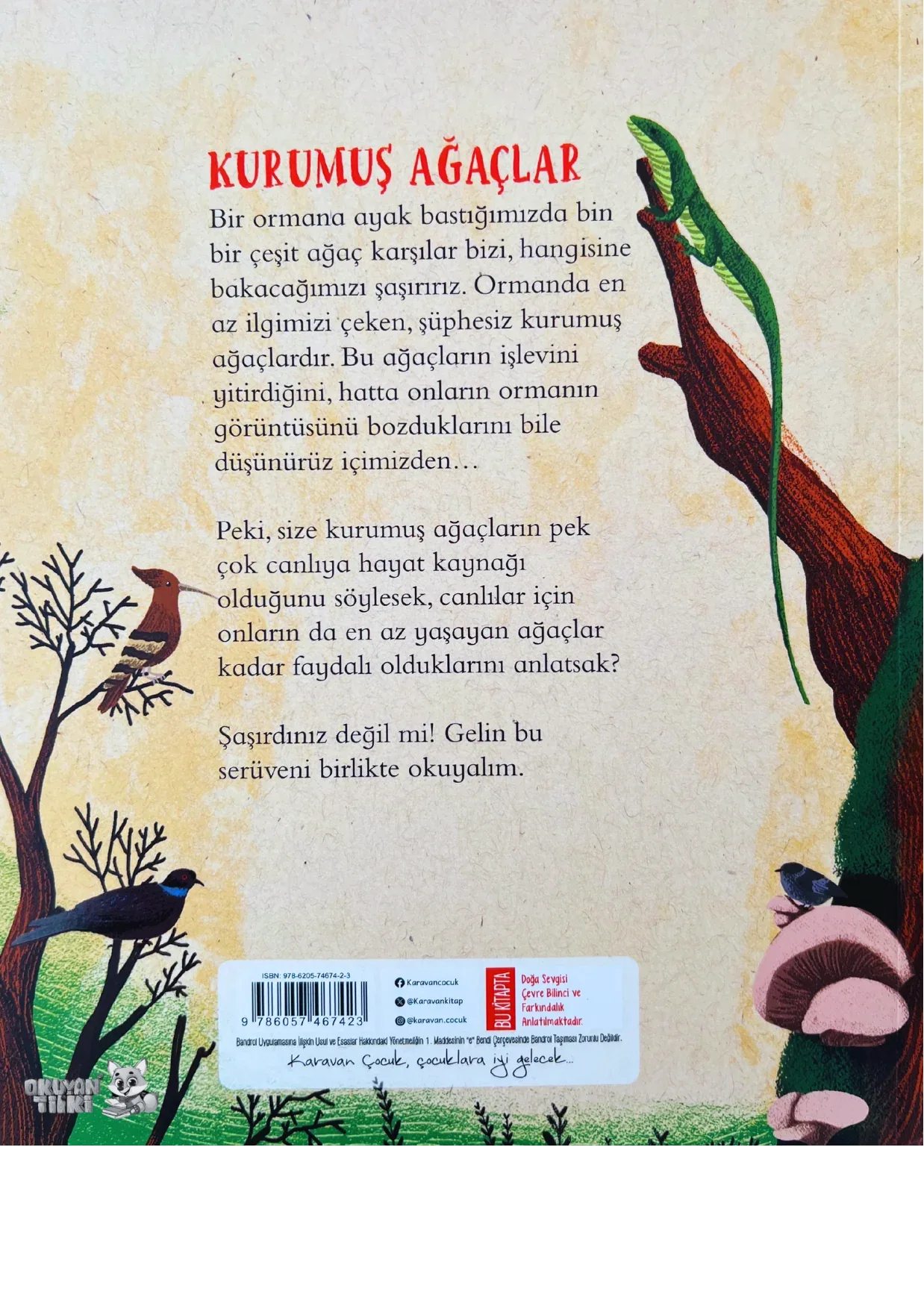 Kurumuş Ağaçlar (7+ Yaş) - Okuyan Tilki