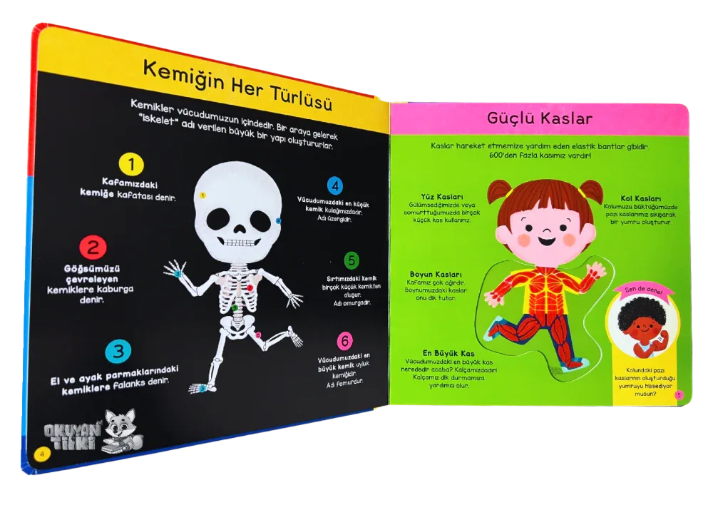 İlk Kitaplarım – Vücudumu Tanıyorum (0+ Yaş) - Okuyan Tilki