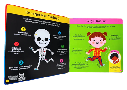 İlk Kitaplarım – Vücudumu Tanıyorum (0+ Yaş) - Okuyan Tilki