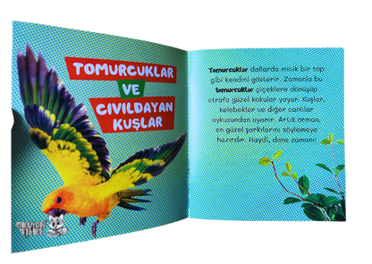 Ormanın Yaşam Döngüsü (3+ Yaş)