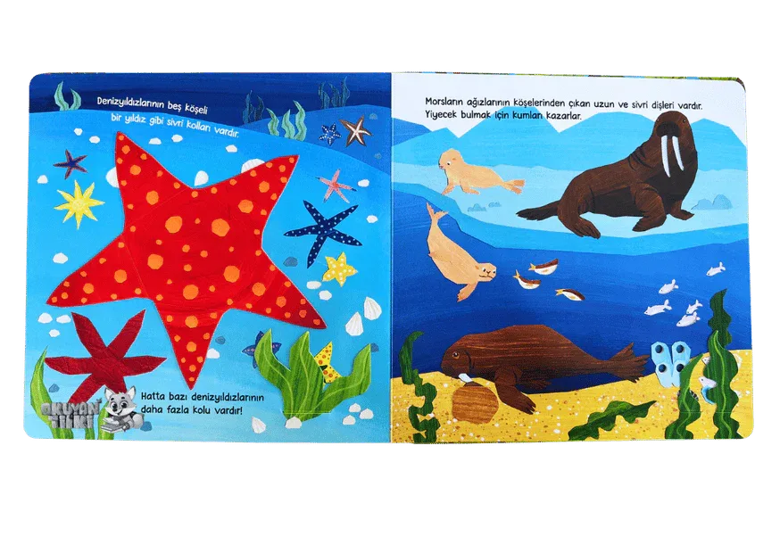 Bebeğimle Hayvanlar Âleminde - Sivri, Sivri, Çok Sivri (1+ Yaş, 3D Kitap) - Okuyan Tilki