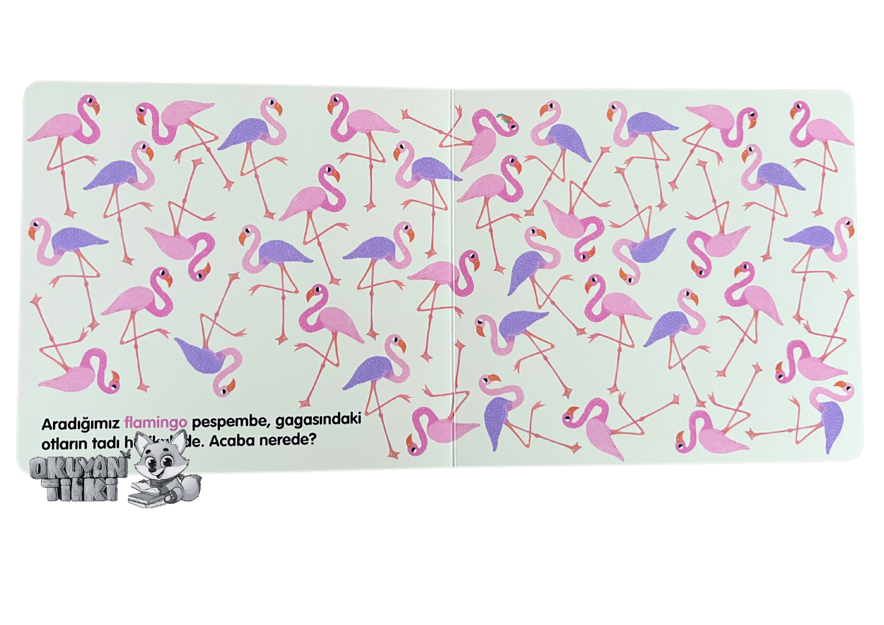 Bir Oyun Oynayalım, Farklı Olanı Bulalım! (4+ Yaş)