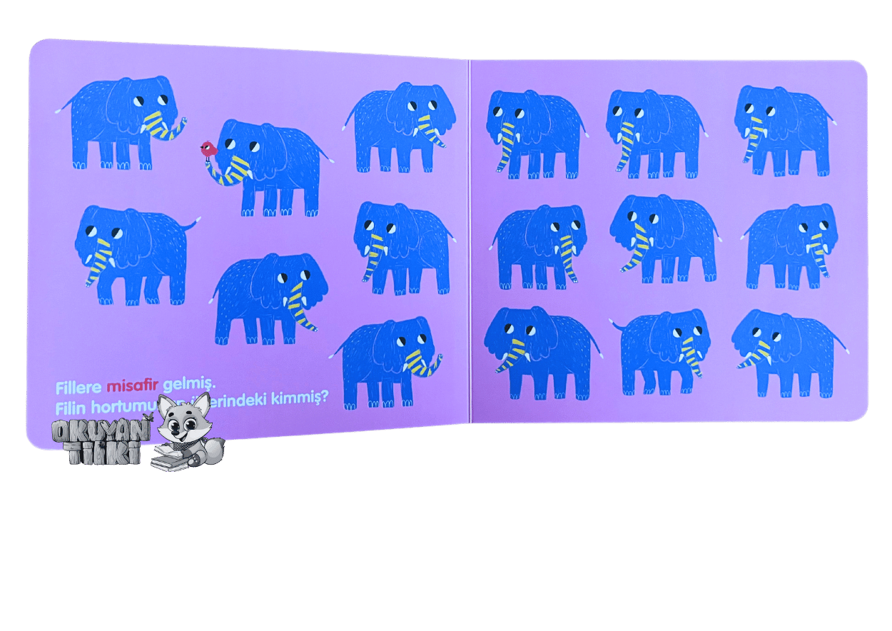 Arayalım Bulalım! Hayvanlar Hep Bir Arada! (3+ Yaş)