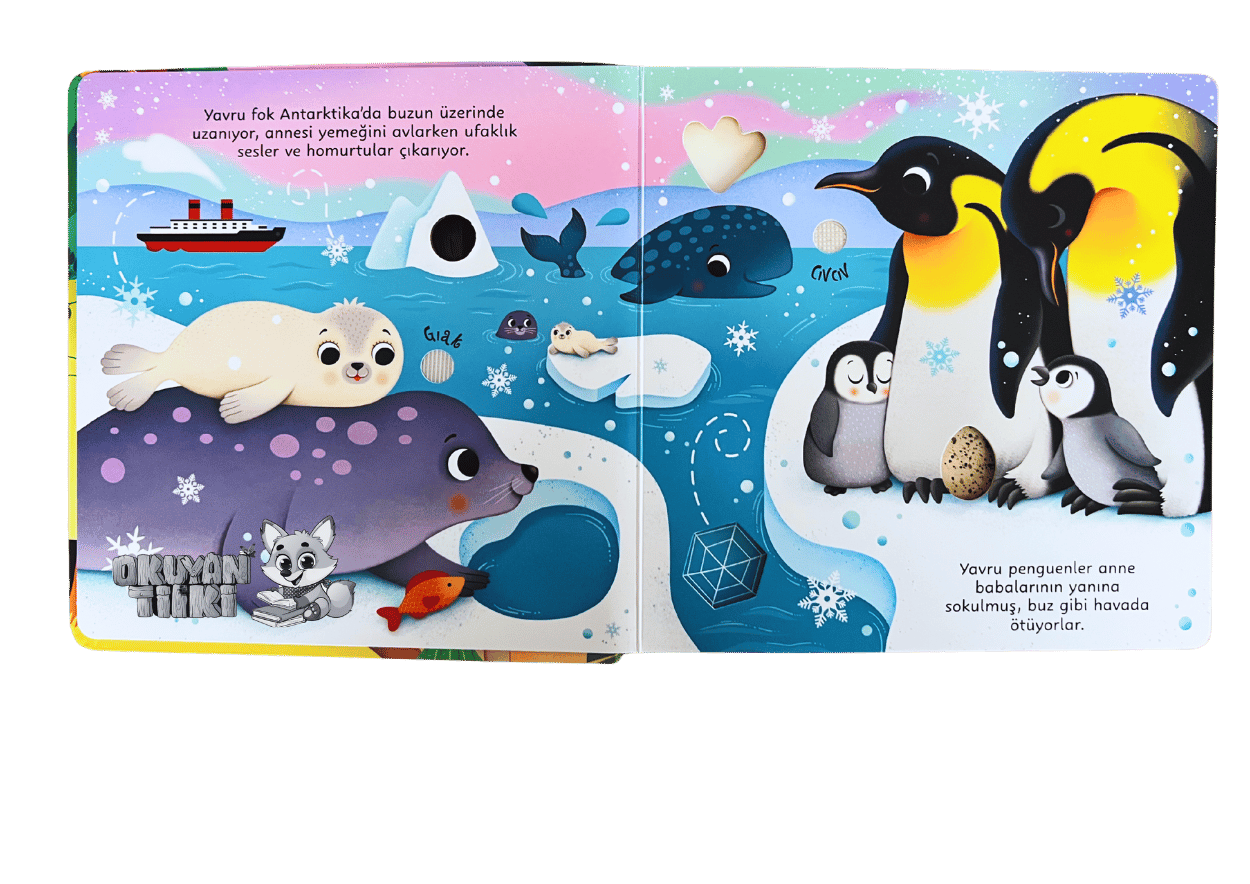 Yavru Hayvanların Sesleri -  Sesli Kitaplar (Soundbuch)