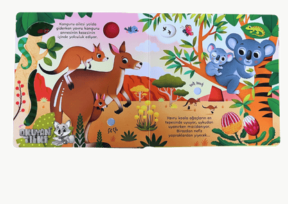 Yavru Hayvanların Sesleri -  Sesli Kitaplar (Soundbuch)