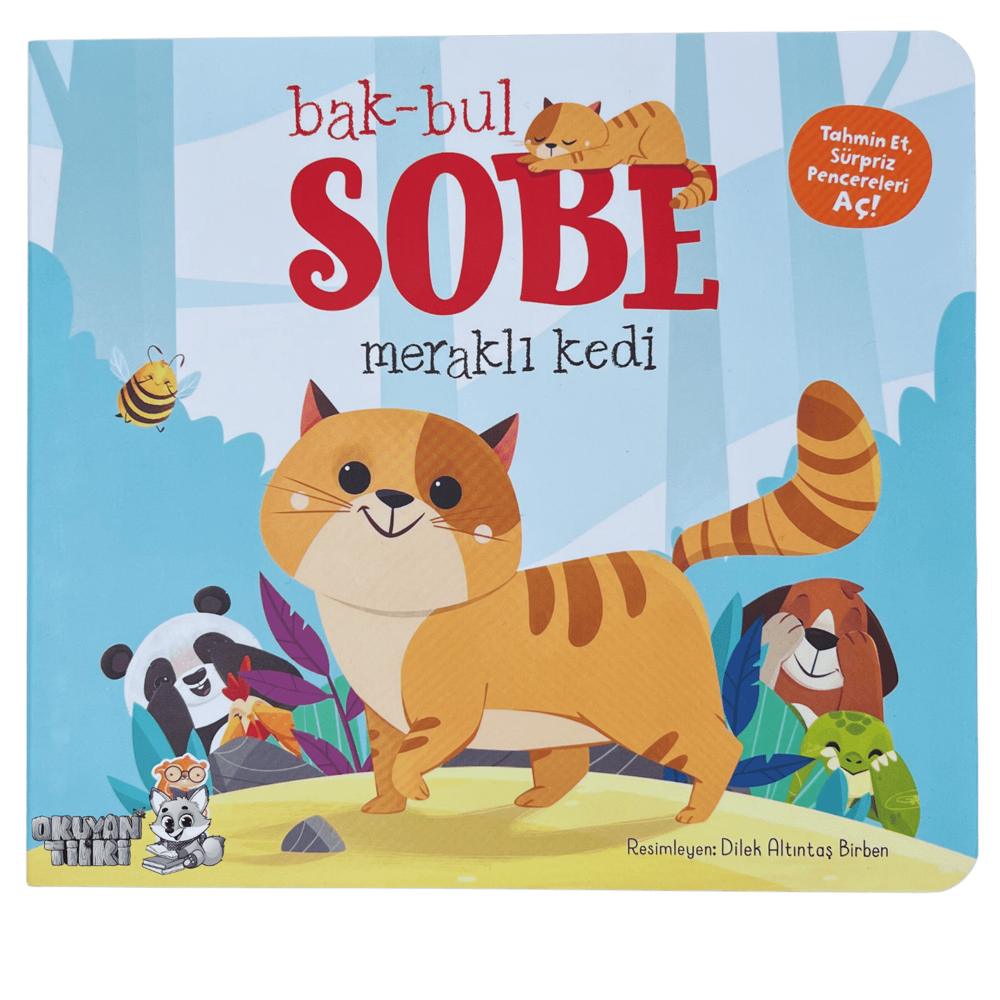 Bak-Bul Sobe Meraklı Kedi (1+ Yaş)