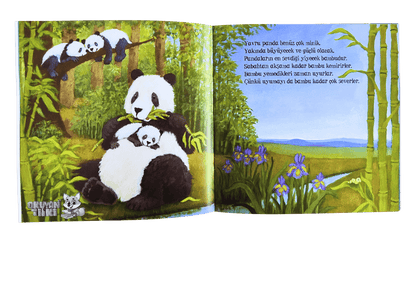 Uykusu Gelen Minikler (2+ Yaş)