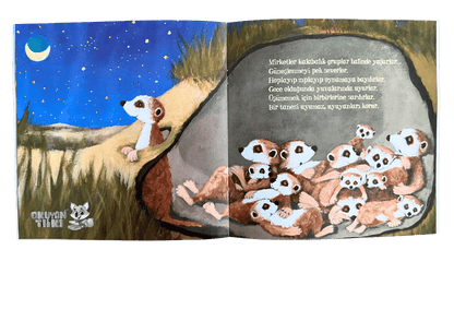 Uykusu Gelen Minikler (2+ Yaş)