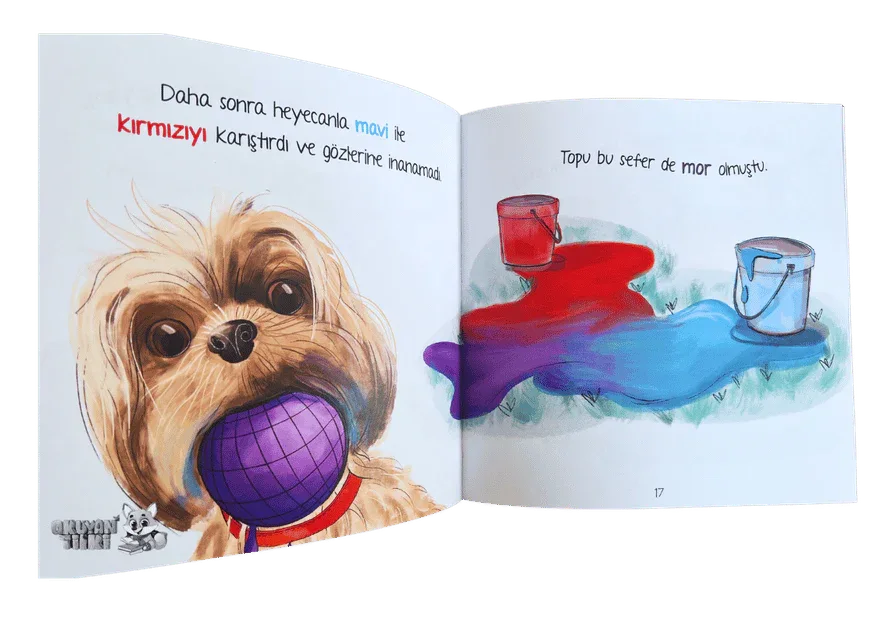 Ezo ve Samba Renkler (6+ Yaş) - Okuyan Tilki