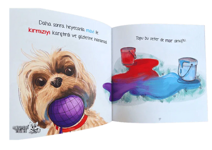 Ezo ve Samba Renkler (6+ Yaş) - Okuyan Tilki