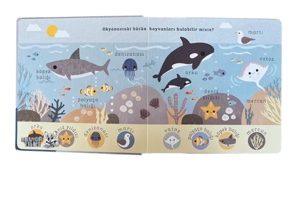 Say Bul Eğlen - Okyanus (1+ Yaş) - Okuyan Tilki