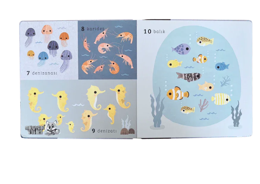 Say Bul Eğlen - Okyanus (1+ Yaş) - Okuyan Tilki