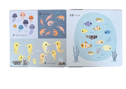 Say Bul Eğlen - Okyanus (1+ Yaş) - Okuyan Tilki