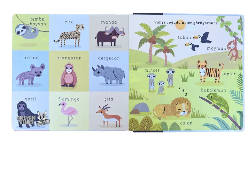 Say Bul Eğlen - Vahşi Doğa (1+ Yaş) - Okuyan Tilki