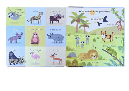 Say Bul Eğlen - Vahşi Doğa (1+ Yaş) - Okuyan Tilki