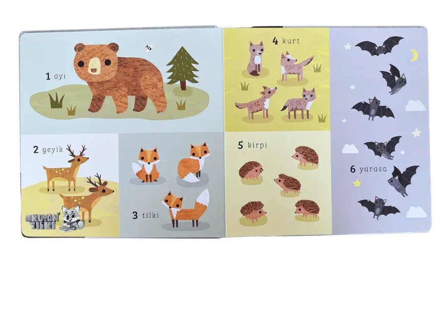 Say Bul Eğlen - Orman (1+ Yaş) - Okuyan Tilki