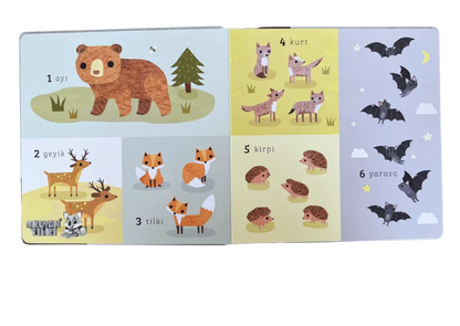 Say Bul Eğlen - Orman (1+ Yaş) - Okuyan Tilki