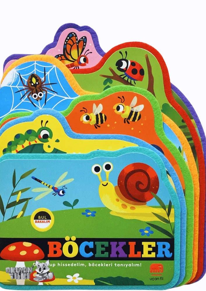 Bul bakalım - Böcekler (1+ Yaş) - Okuyan Tilki