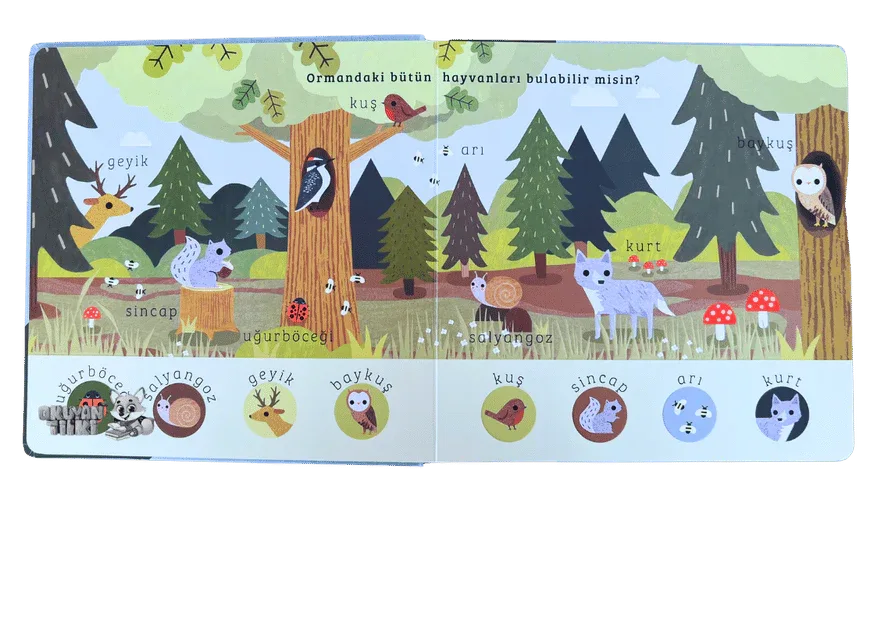 Say Bul Eğlen - Orman (1+ Yaş) - Okuyan Tilki