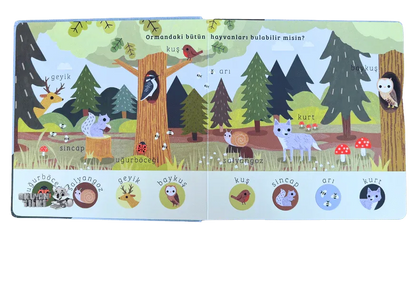 Say Bul Eğlen - Orman (1+ Yaş) - Okuyan Tilki