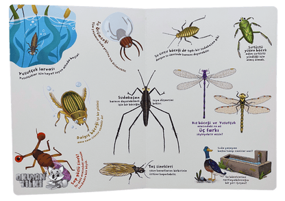Ne Sorsan Bilir Minik – Benim İlk Böcekler Kitabım (1+ Yaş)