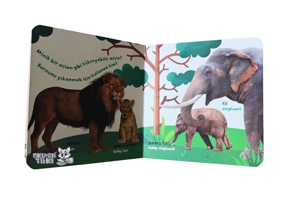 Bilgi Dolu İlk Kitaplarım - Orman Ailesi (1+ Yaş) - Okuyan Tilki