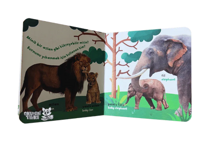 Bilgi Dolu İlk Kitaplarım - Orman Ailesi (1+ Yaş) - Okuyan Tilki