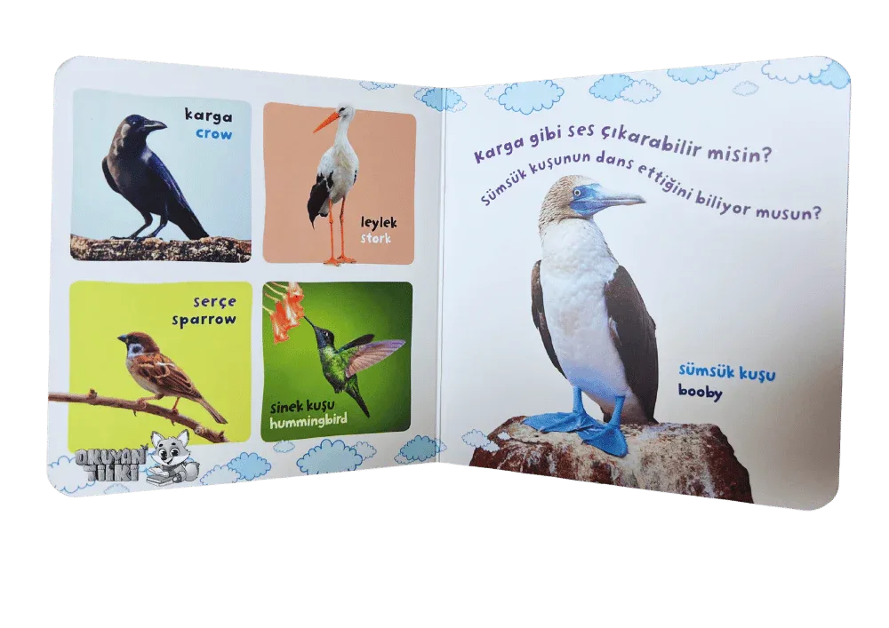 Bilgi Dolu İlk Kitaplarım - Kuşlar Ailesi (1+ Yaş) - Okuyan Tilki