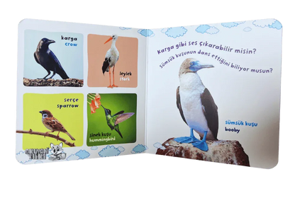 Bilgi Dolu İlk Kitaplarım - Kuşlar Ailesi (1+ Yaş) - Okuyan Tilki