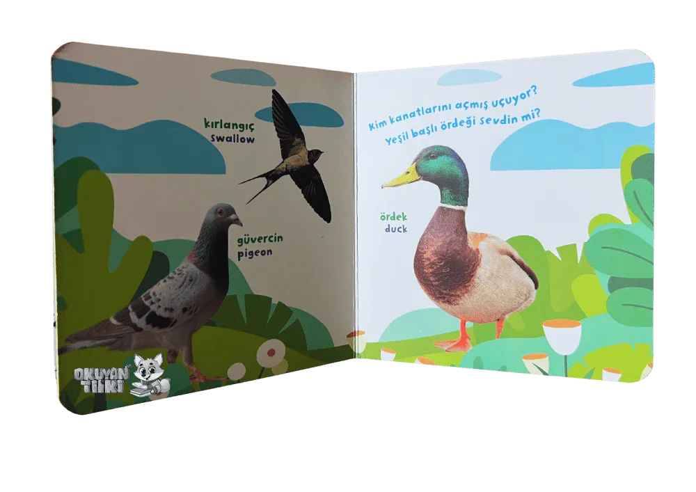 Bilgi Dolu İlk Kitaplarım - Kuşlar Ailesi (1+ Yaş) - Okuyan Tilki