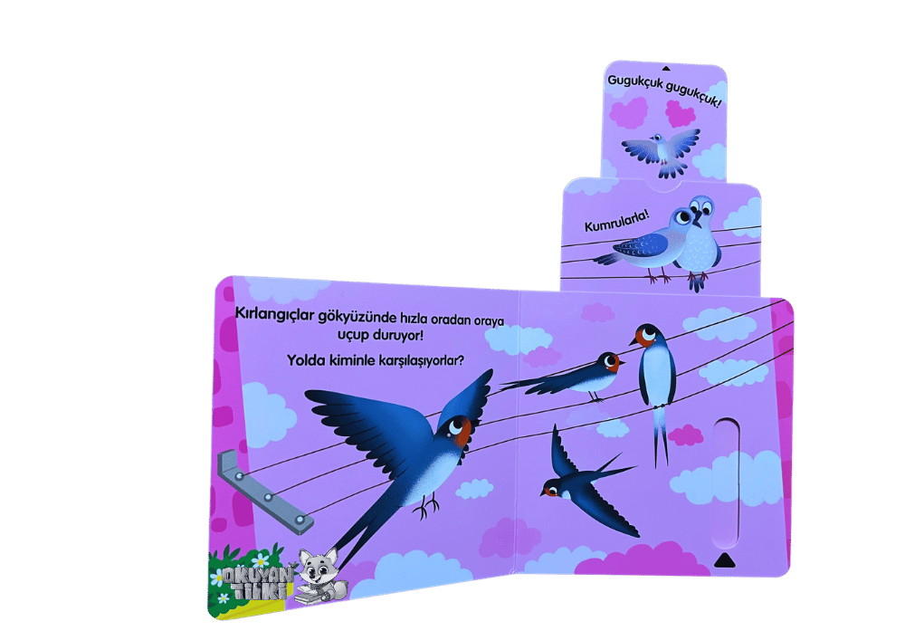 Sürgülü Kitap - Kim Bu Kuşlar? (2+ Yaş)
