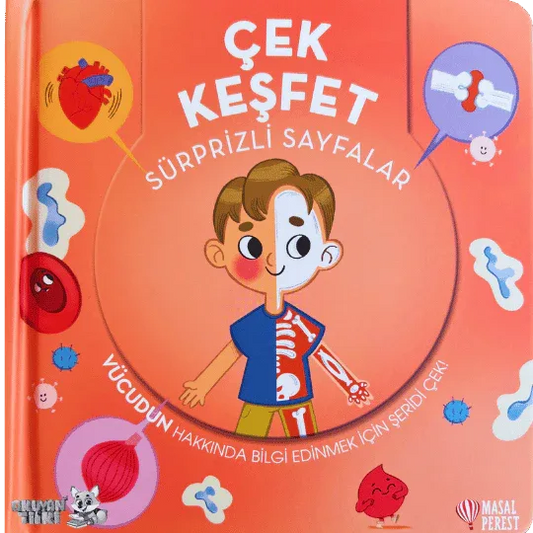 Çek Keşfet - İnsan Vücudu (3+ Yaş) - Okuyan Tilki