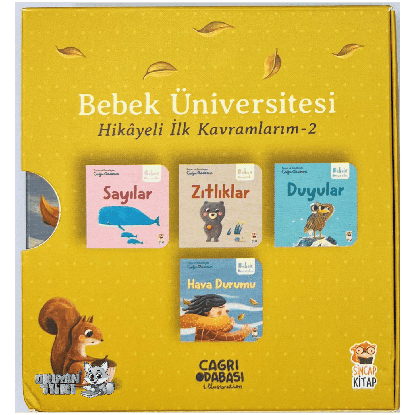 BEBEK ÜNİVERSİTESİ (2) - Hikayeli İlk Kavramlarım