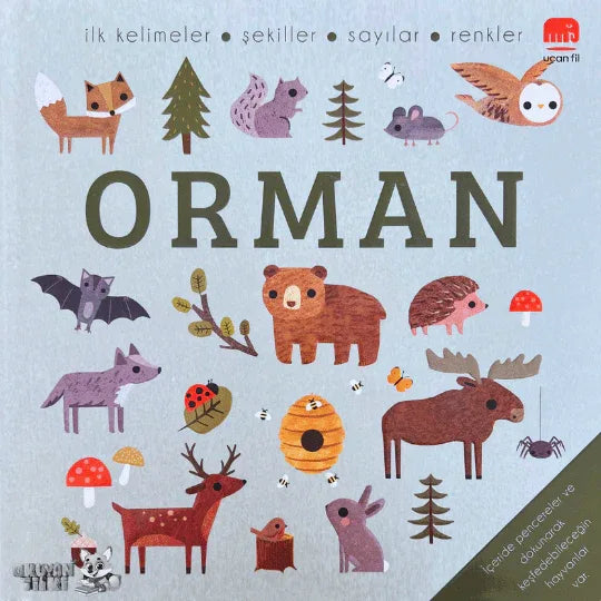 Say Bul Eğlen - Orman (1+ Yaş) - Okuyan Tilki