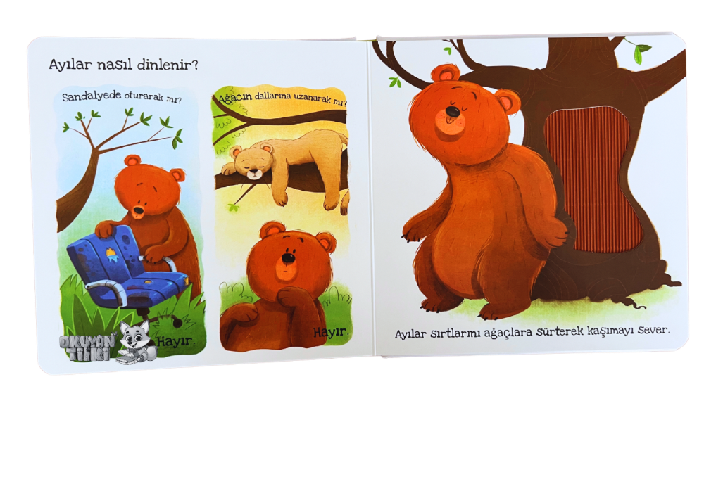 Ayılar Ne Sever? - Dokun Hisset Kitaplar (Fühlbuch, 2+ Yaş)