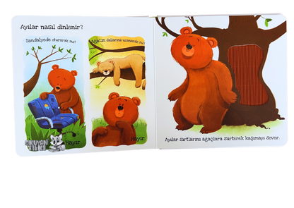 Ayılar Ne Sever? - Dokun Hisset Kitaplar (Fühlbuch, 2+ Yaş)