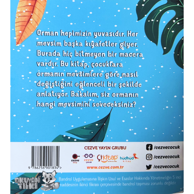 Ormanın Yaşam Döngüsü (3+ Yaş)