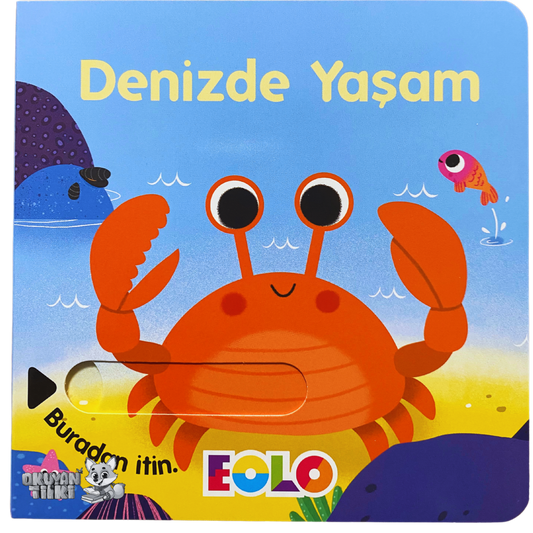 Sürgülü Kitap - Denizde Yaşam (2+ Yaş)